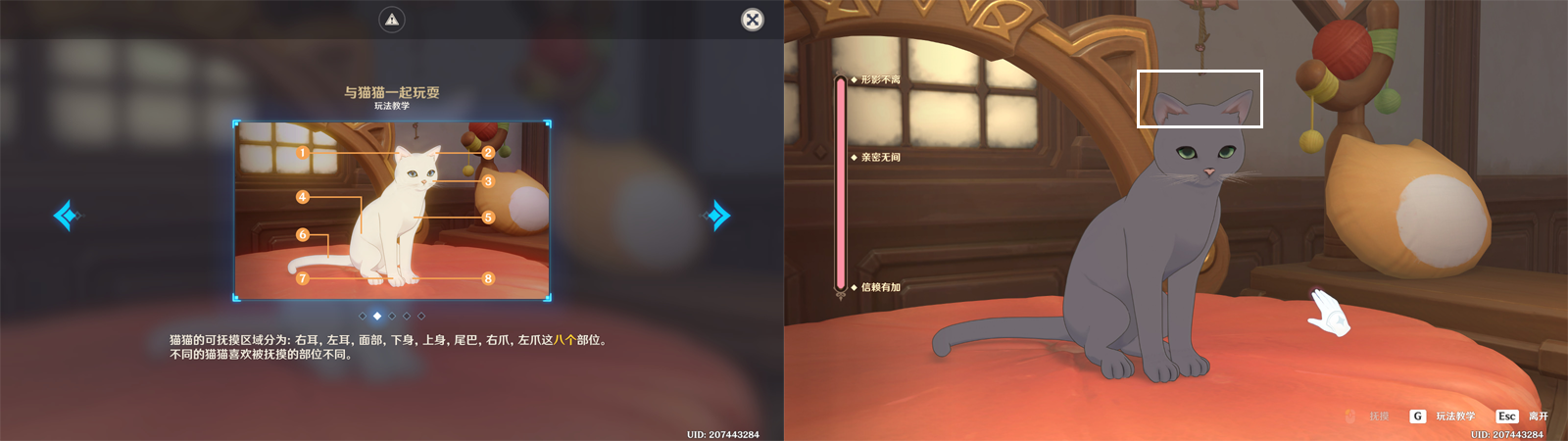 《原神》茸茸城堡大喵险第三关攻略