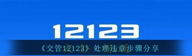 《交管12123》处理违章步骤分享