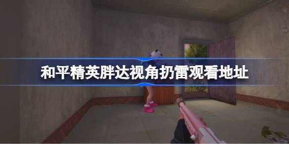 和平精英胖达视角扔雷在哪看 和平精英胖达视角扔雷观看地点