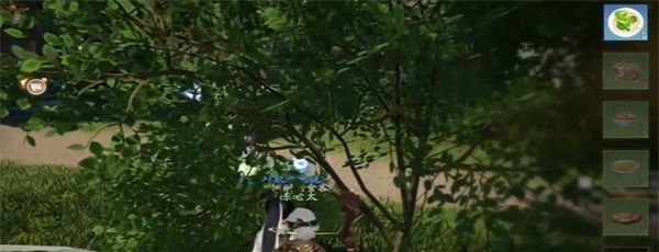 《射雕》红尘戏鱼脍尝鲜任务攻略