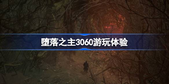 堕落之主3060能玩吗 堕落之主3060游玩体验