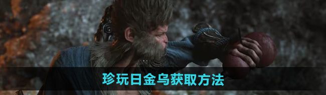 《黑神话悟空》珍玩日金乌获取方法