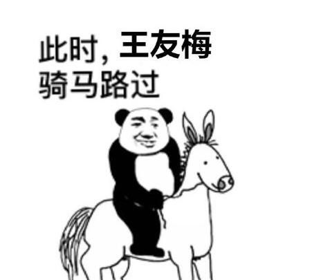 王友梅竟是我自己表情包大全分享