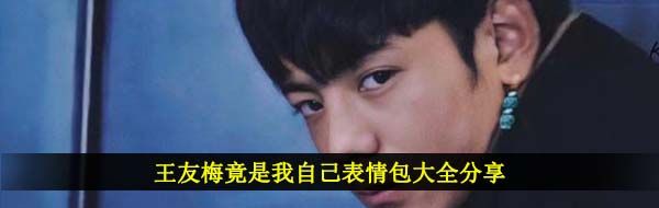 王友梅竟是我自己表情包大全分享