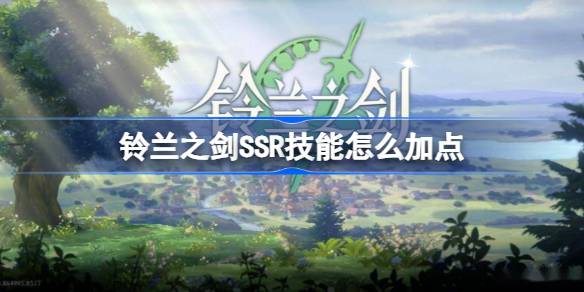 铃兰之剑SSR技能怎么加点 铃兰之剑SSR技能加点推荐
