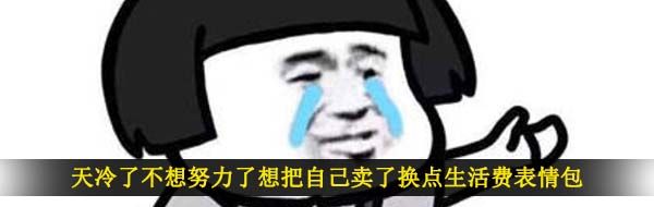 天冷了不想努力了想把自己卖了换点生活费表情包大全分享